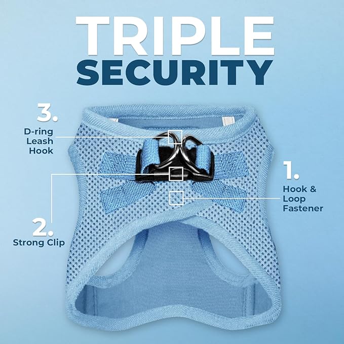 Best Pet Supplies Voyager Step-in Air All Weather Mesh Harness and Reflective Dog 5 ft Leash Combo with Neoprene Handle, for Small, Medium and Large Breed Puppies - Set (Baby Blue), XS