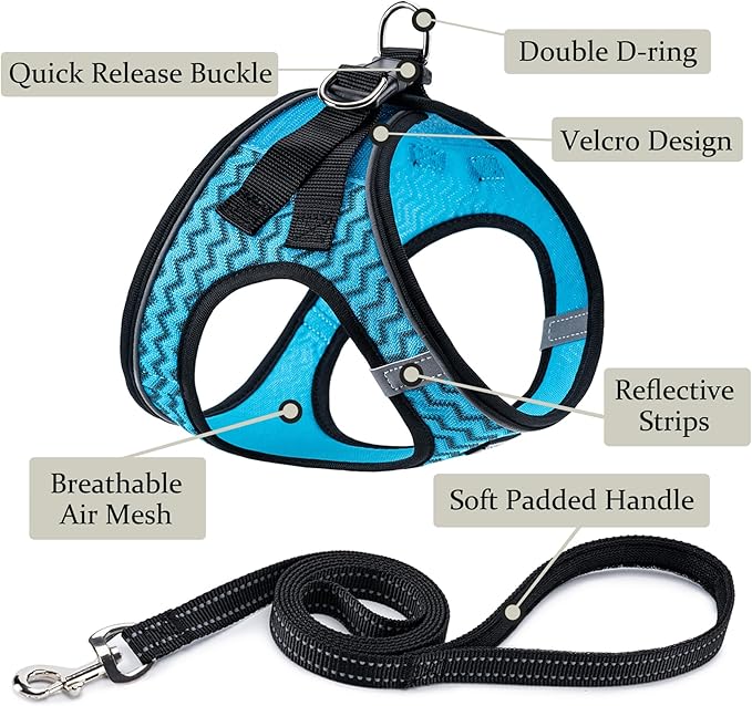BOOMIBOO Dog Harness with Leash Set, No Pull Adjustable Reflective Step-in Puppy Pet Vest Harnesses for Small Medium Large Dogs and Cats,Blue Stripe XS