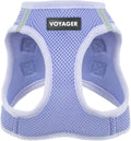 Best Pet Supplies Voyager Step-in Air Harness - All Weather Mesh, Reflective, No Pull Harness for Dogs, Cats - Secure with Hook & Loop Fastener, Buckle, Double D-Rings - Lavender, M