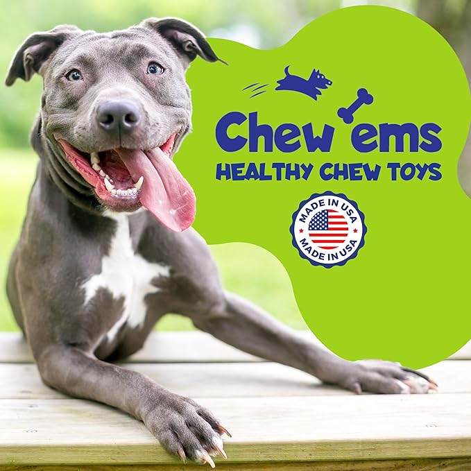 Chew’EMS X Bone Dog Chew Toy for Aggressive Chewers – Long-Lasting Bacon Flavor Nylon Bone – Durable, Rawhide-Free Dental Toy - Small Size – Made in USA