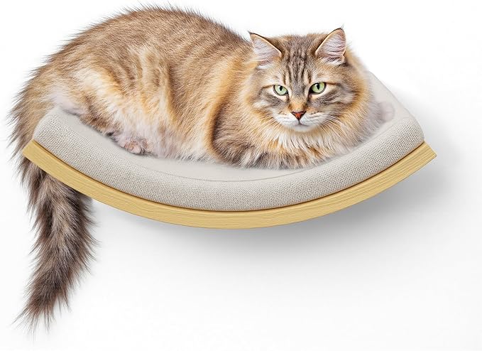 Cat Wall Stairs and Wall Shelves, 4 Piece Wood Cats Furniture Set, Padded Curved Bed with Foam, Flat Shelf & Climbing 4 Steps Stairs for Large Indoor Cats