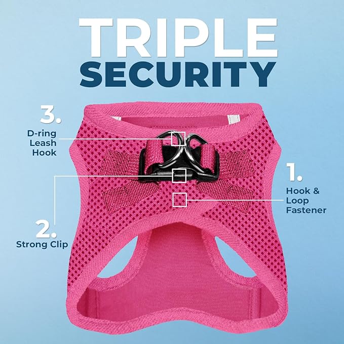 Best Pet Supplies Voyager Step-in Air All Weather Mesh Harness and Reflective Dog 5 ft Leash Combo with Neoprene Handle, for Small, Medium and Large Breed Puppies - Set (Fuchsia), XL