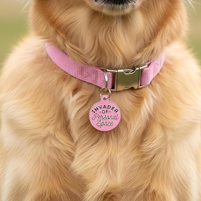 Bad Tags Personalized Dog and Cat ID Tags in 25+ Designs and 2 Sizes - 5 Lines of Custom Engraved Text - Funny Cute Personalized Pet Tags (Invader of Personal Space - Pink, Large (1.25 inch))