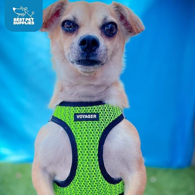 Best Pet Supplies Voyager Step-in Air Harness - All Weather Mesh, Reflective, No Pull Harness for Dogs, Cats - Secure with Hook & Loop Fastener, Buckle, Double D-Rings - Lime Green 2-Tone, M