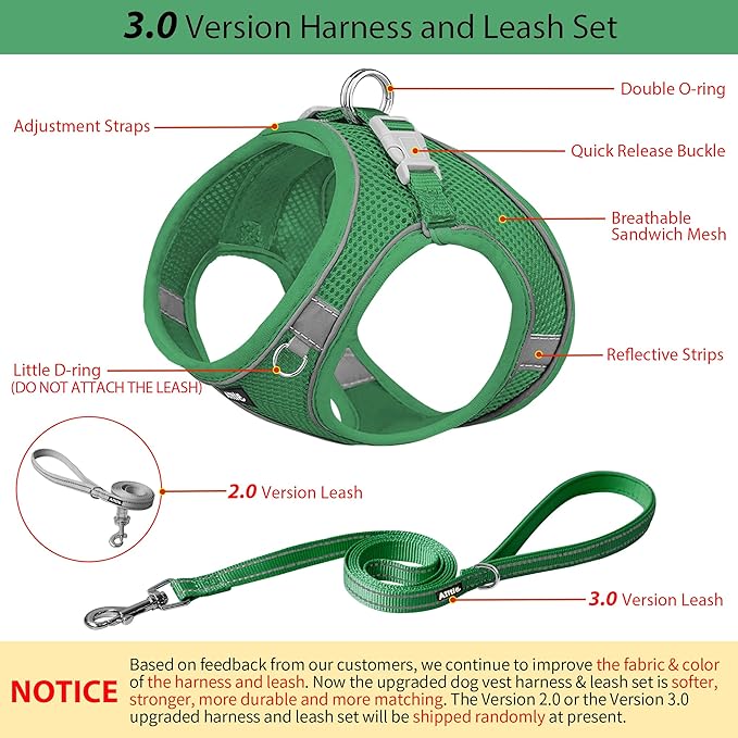 AIITLE No Pull Dog Harness and Leash Set, Step in Adjustable Dog Harness with Padded Vest for All Weather, Dog Leash with Soft Padded Handle, Easy to Put on Small and Medium Dogs Green S