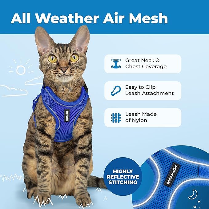 Voyager Escape-Proof Step-in Lock Cat Harness & 5ft Neoprene-Handle Leash Set All-Weather Mesh with Reflective Stitching for Small to Large Cats by Best Pet Supplies, Royal Blue (327), XS