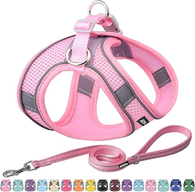 AIITLE Small Harness for Puppy with A Leash - Dog Vest Harness with Super Breathable Mesh, Reflective No-Pull Pet Harness for Outdoor Walking, Running for Small Dogs, Cats Pure Pink XXS