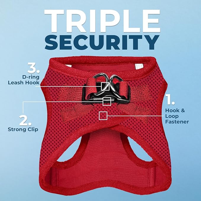 Best Pet Supplies Voyager Step-in Air All Weather Mesh Harness and Reflective Dog 5 ft Leash Combo with Neoprene Handle, for Small, Medium and Large Breed Puppies - Harness Leash Set (Red), XS