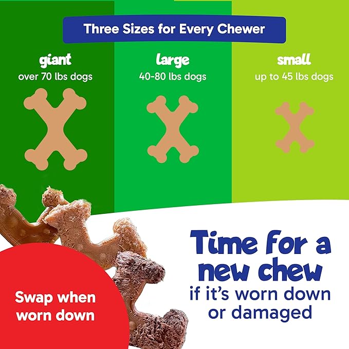 Chew’ems X Bone Dog Chew – Long-Lasting Salmon Flavor Treats for Aggressive Chewers – Rawhide-Free, Durable Dental Chews – Large Size