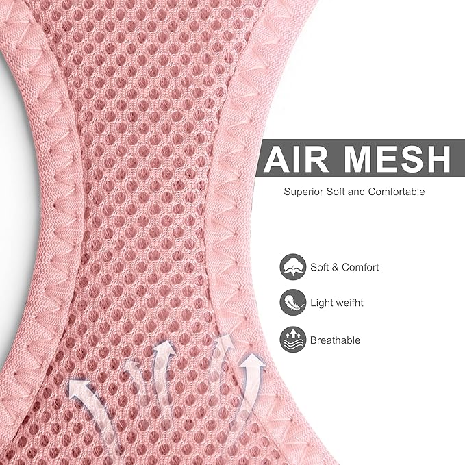 Fida Comfy Dog Harness with Leash, Cat Vest Harness Escape Proof, Breathable Lightweight Soft Mesh, Adjustable Reflective Step-in Harness for Puppy Toy Breeds & Extra-Small Pet (XXS, Pink)