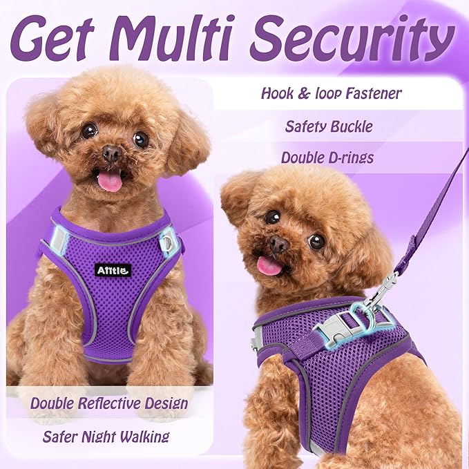 AIITLE Comfortable Dog Harness and Leash Set for Walking - Step in Vest Harness,Reflective Bands, Adjustable No Pull Puppy Essentials, for Small Dogs and House Cats Pure Purple XS