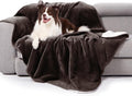 gogobunny Waterproof Bed Blanket, Reversible Sherpa Fleece Throw Blanket for Dog Puppy Cat, Furniture Cover Protects Bed Couch Sofa from Liquid Pee and Pet Fur (Dark Brown, 60x80 inches)