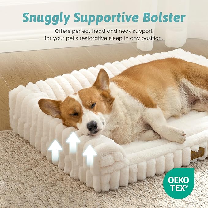 Cute Dog Bed for Medium Dogs, Faux Rabbit Fur Orthopedic Foam Dog Bed with Sides, Removable Washable Cover & Waterproof Lining, Comfortable Pet Couch, Cream (36" L x 27" W x 6.5" Th)