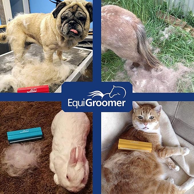 EasyGroomer Deshedding Brush for Dogs & Cats – Undercoat Grooming Tool for Short & Long Hair, Removes Loose Fur & Dirt, Reduces Shedding for Small & Large Pets, Purple
