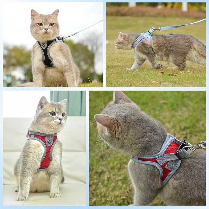 SCENEREAL Cat Harness and Leash Set Escape Proof, Adjustable Soft Air Mesh Kitten Harnesses for Girls Boys Small Medium Big Cats, Reflective Light Travel Pet Walking Vest for Puppy Rabbit, Black L