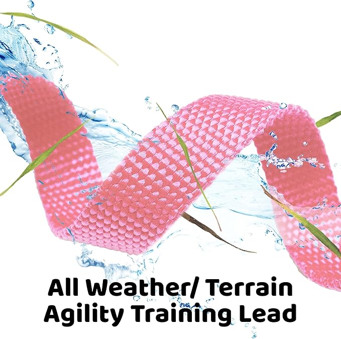 Downtown Pet Supply - Long Dog Leash - 50 ft Pink Nylon Dog Training Leash for Recall & Obedience