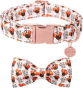 Thanksgiving Dog Collar with Bow Tie, Turkey Cotton Bowtie Collar for Puppy Girl Dog or Cat, Autumn Bow Tie Collar with Durable Metal Buckle, Turkeys Pet Collar, S, Neck 10-16in