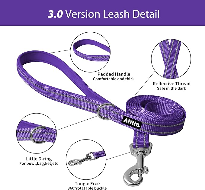 AIITLE Step in Dog Harness and Leash Set - No Pull Escape Proof Vest Harnesses with Soft Mesh and Reflective Bands, Adjustable Pet Outdoor Harnesses for Small and Medium Dogs Purple M