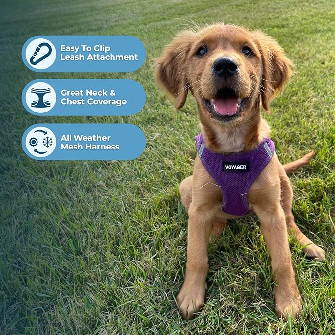 Best Pet Supplies Voyager Step-in Air All Weather Mesh Harness and Reflective Dog 5 ft Leash Combo with Neoprene Handle, for Small, Medium and Large Breed Puppies - Harness Leash Set (Purple), XXS