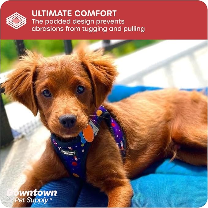 Downtown Pet Supply Step-in Dog Harness – No Pull, Adjustable Padded Mesh with Reflective Trim, Secure Buckle Strap – Comfortable & Breathable Small Dog Harness, X-Small, Space