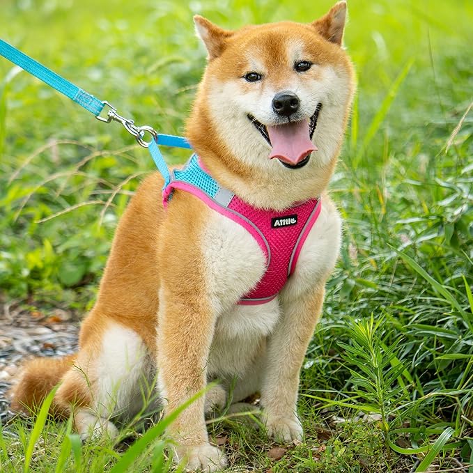 AIITLE Escape Proof Dog Harness - Step in Adjustable Dog Harness No Choke Over with Breathable Mesh and Quick-Release Buckle for All Weather- Outdoor Walking, Training for Medium Dogs Hot Pink XL