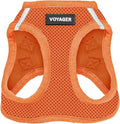 Best Pet Supplies Voyager Step-in Air Harness - All Weather Mesh, Reflective, No Pull Harness for Dogs, Cats - Secure with Hook & Loop Fastener, Buckle, Double D-Rings - Orange, S
