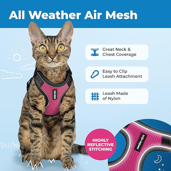 Voyager Escape-Proof Step-in Lock Cat Harness & 5ft Neoprene-Handle Leash Set All-Weather Mesh with Reflective Stitching for Small to Large Cats by Best Pet Supplies, Black Trim-Fuchsia (327), S