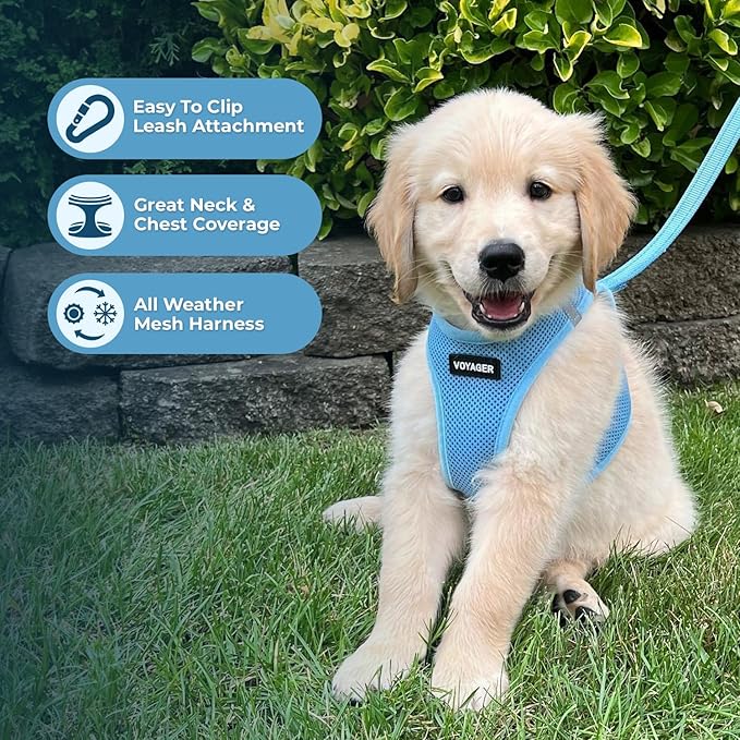 Best Pet Supplies Voyager Step-in Air All Weather Mesh Harness and Reflective Dog 5 ft Leash Combo with Neoprene Handle, for Small, Medium and Large Breed Puppies - Set (Baby Blue), L