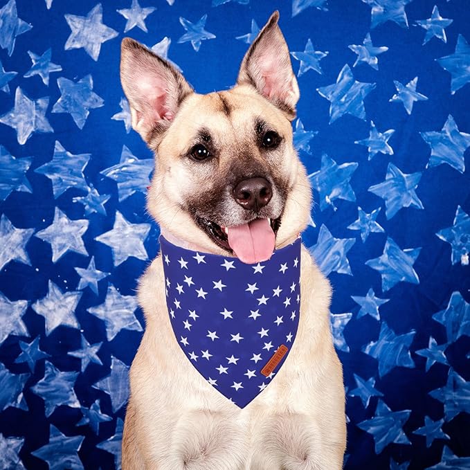 ADOGGYGO Star Dog Bandana 2 Pack, Reversible Red Blue Patriotic Pet Scarf Bib, Adjustable Fit 4th of July Star Bandanas for Small Dogs Pets (Small)