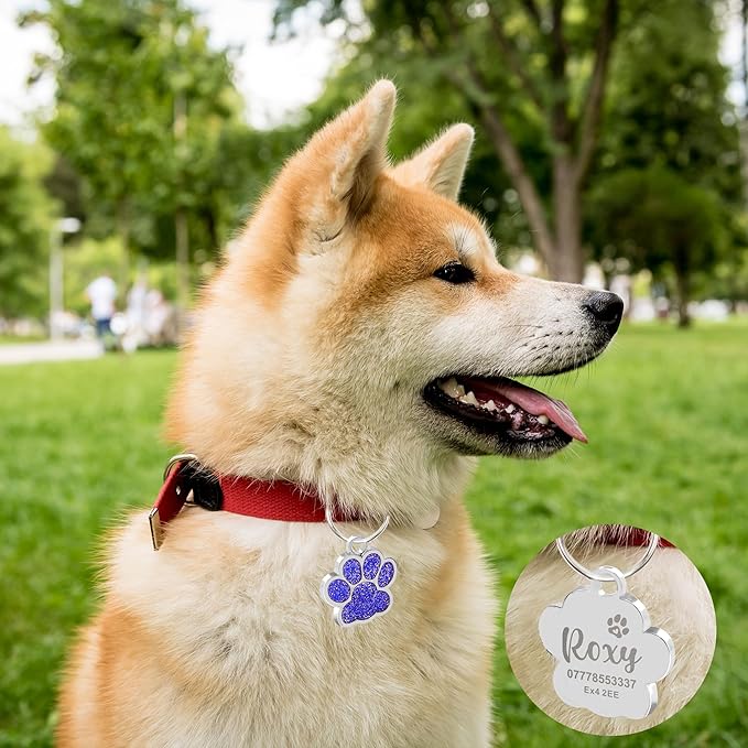 EDSG Cat Dog Tags Personalized for Pets, Dog Name Tags Cat Name ID Tag, Engraved Dog Tags Dog ID Tags Small Glitter Bling ID Tag Paw Print for Cat Pet Dog Puppy(Silver,Design 2)