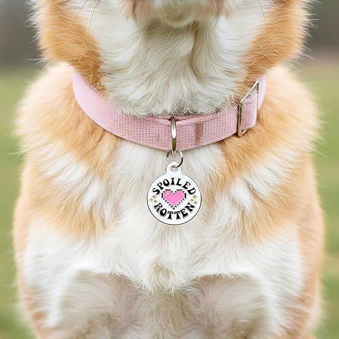 Bad Tags Personalized Dog and Cat ID Tags in 25+ Designs and 2 Sizes - 5 Lines of Custom Engraved Text - Funny Cute Personalized Pet Tags (Spoiled Rotten, Large (1.25 inch))