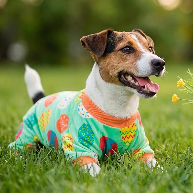 Fitwarm Easter Egg Dog Pajamas, Holiday Dog Clothes for Small Dogs Girl Boy, Pet Easter Outfit, Puppy Cat Onesie, Lightweight Velvet, Light Green, Orange, Medium