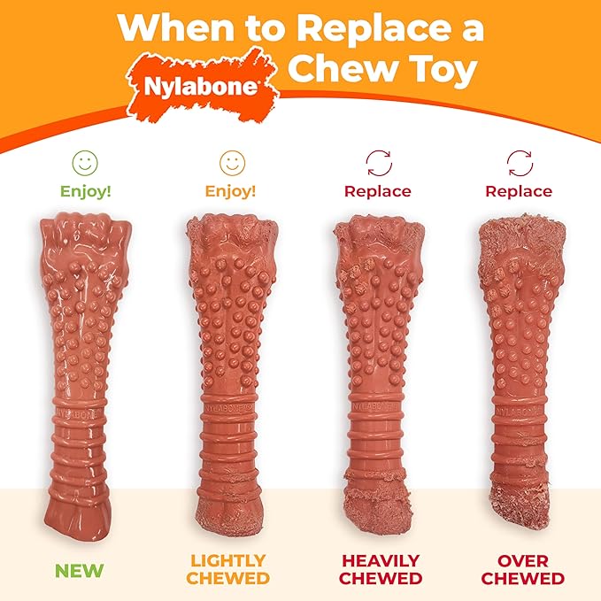 Nylabone Textured Bone Power Chew Toy for Dogs, Durable & Tough Dog Toys for Aggressive Chewers, Basted Blast Bacon & Steak Flavor, Medium Dogs - Up to 35 lbs, 1 Count