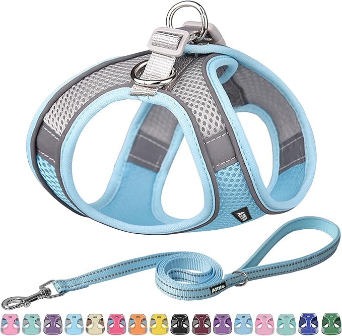 AIITLE Escape Proof Dog Harness - Step in Adjustable Dog Harness No Choke Over with Breathable Mesh and Quick-Release Buckle for All Weather- Outdoor Walking, Training for Medium Dogs Blue XL