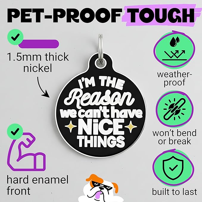 Bad Tags Personalized Dog and Cat ID Tags in 25+ Designs and 2 Sizes - 5 Lines of Custom Engraved Text - Funny Cute Personalized Pet Tags (I'm The Reason We Can't Have Nice Things, Small (1 inch))