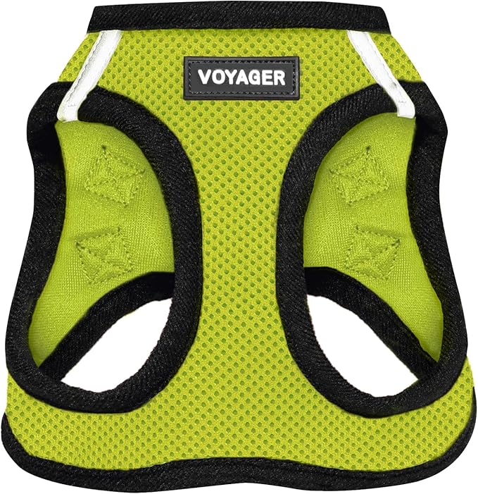 Best Pet Supplies Voyager Step-in Air Harness - All Weather Mesh, Reflective, No Pull Harness for Dogs, Cats - Secure with Hook & Loop Fastener, Buckle, Double D-Rings - Lime Green/Black Trim, XXXS