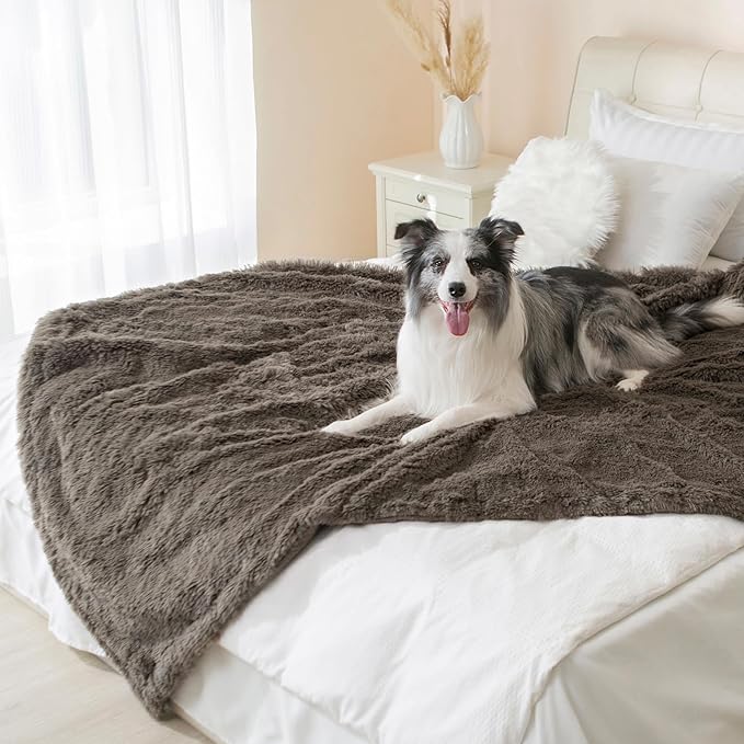gogobunny Waterproof Dog Blanket for Couch & Furniture Protection - Super Soft Reversible Throw for Large Dogs & Cats, Calming Washable Fur & Sherpa Pet Blanket (40x50 Inch, Stone)