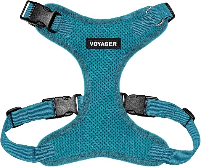 Voyager Step-in Pet Harness - All Weather Mesh, Adjustable Step in Harness for Cats and Dogs by Best Pet Supplies - Turquoise, S