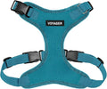 Voyager Step-in Pet Harness - All Weather Mesh, Adjustable Step in Harness for Cats and Dogs by Best Pet Supplies - Turquoise, M