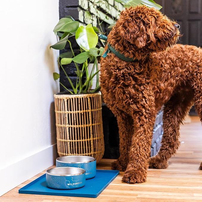 Wilderdog Silicone Pet Placemat Made with 100% Food-Grade Silicone Cone, BPA, PVC, and Phthalate-Free. Non-tocix, Dishwasher Safe Feeding mat for Bowls with Spill Catcher and Raised Mountain Logo