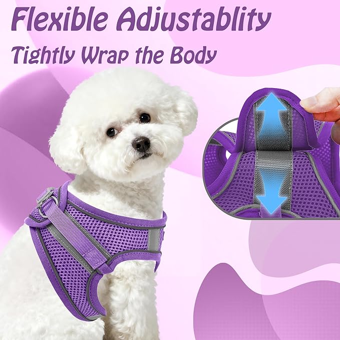AIITLE Comfortable Dog Harness and Leash Set for Walking - Step in Vest Harness,Reflective Bands, Adjustable No Pull Puppy Essentials, for Small Dogs and House Cats Pure Purple XS