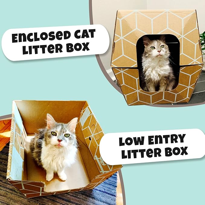 Cats Desire Disposable Litter Box No Plastic Solution (10 Tray) w/ Low Entry & Enclosed Box - Teal on Natural Brown, Made in USA Woman Owned, 19"L x 17"W x 8.5"H tray - 19"L x 17"W x 17"H enclosed box