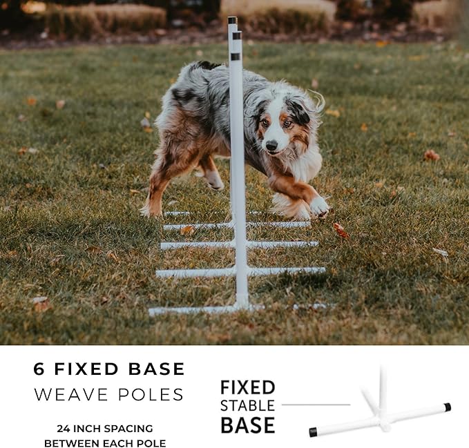 Better Sporting Dogs Premium Starter Dog Agility Set w/Safety-Focused Features | 5Pc Agility Kit | Bar Jump w/Cup Strips | Breakaway Tire Jump | Weave Poles | 10’ Tunnel & Sandbags | Pause Box