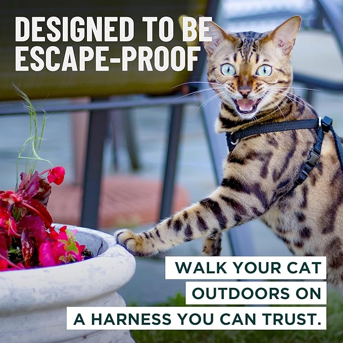Houdini™ Escape Proof Kitten Harness and Leash Set by OutdoorBengal – Extra Small – Comfy, Adjustable and Lightweight - Houdini Cat Harness Escape Proof for Small Cats + Cat Leash 6ft (Pink, XS)