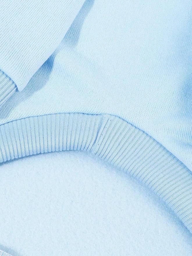 QWINEE Basic Dog Hoodie Sweatshirt Puppy Sweater Warm Cat Costumes Pet Clothes for Chihuahua Puppy Kitten Small Medium Dogs Light Blue Small