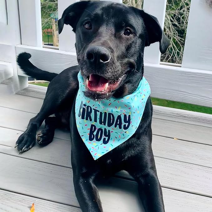 Birthday Boy Dog Bandanas 1 Pack, Blue Birthday Dog Scarfs, HBD Pet Scarves for Birthday Boy Party Bandanas for Medium and Large Dogs (Blue, Large)