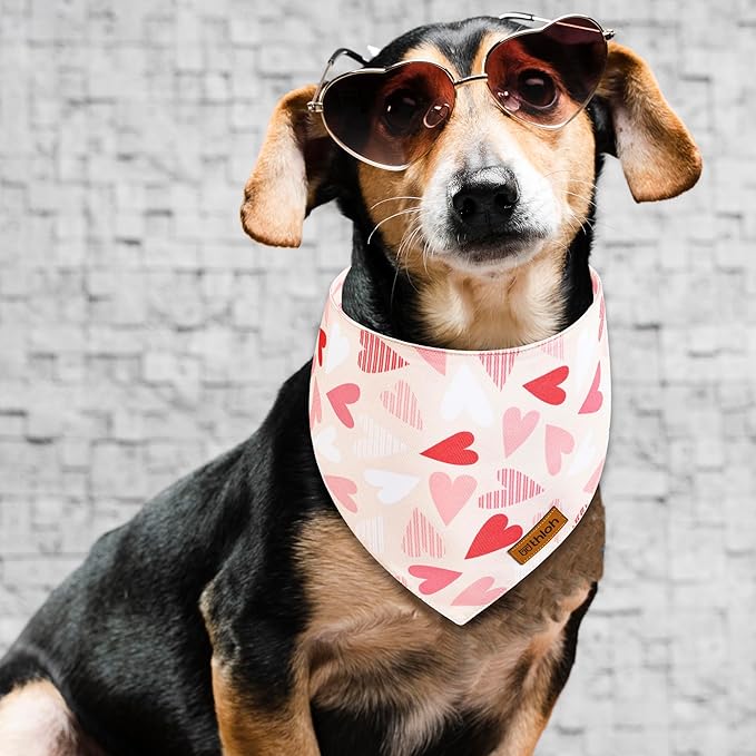 Valentines Dog Bandanas with Snap Button - 2 Pack Reversible Heart Dog Scarf for Boy & Girl, Premium Durable Fabric, Pet Bandana for Small Dogs (Small)