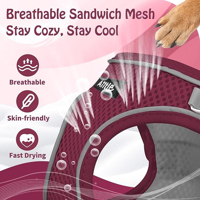 AIITLE Step in Dog Harness and Leash Set - Christmas No Pull Escape Proof Vest Harnesses with Soft Mesh and Reflective Bands, Adjustable Pet Outdoor Harnesses for Small and Medium Dogs Burgundy M