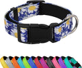 Reflective Dog Collar, Adjustable Soft Neoprene Padded Nylon Pet Collars with Buckle for Puppy and Small Dogs, Cats, Small Daisies Blue,XL