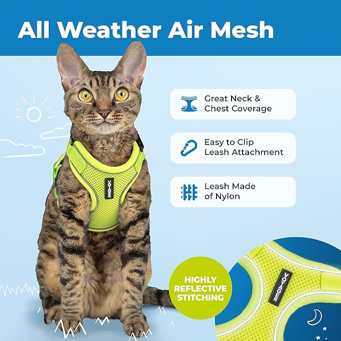 Voyager Escape-Proof Step-in Lock Cat Harness & 5ft Neoprene-Handle Leash Set All-Weather Mesh with Reflective Stitching for Small to Large Cats by Best Pet Supplies, Lime (327), XXS